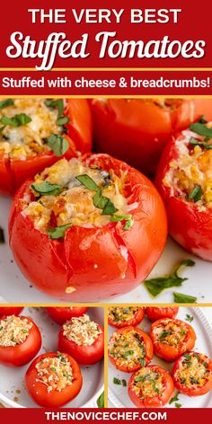 the very best stuffed tomatoes stuffed with cheese and breadcrumbs are easy to make