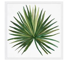 a green palm leaf in a white frame on a white wall, with the image above it