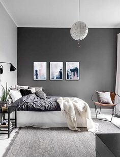 a bedroom with gray walls and white carpeted flooring is pictured in this image