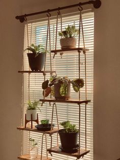 three shelves with plants on them in front of a window, one shelf holding potted plants