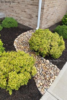 some rocks and plants in front of a brick building