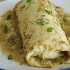 an enchilada on a white plate with green onions and gravy