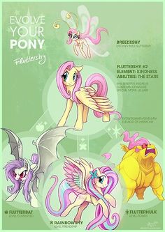 the evolution of pony ponies