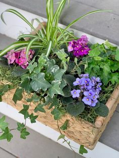 a basket filled with lots of flowers sitting on top of a wooden bench next to plants