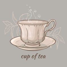 a cup of tea on a saucer with leaves and the words cup of tea royalty illustration