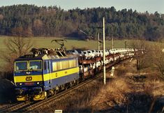 a long train with many cars on it traveling down the tracks in front of some trees