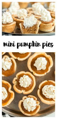 mini pumpkin pies with whipped cream on top and the words, mini pumpkin pies