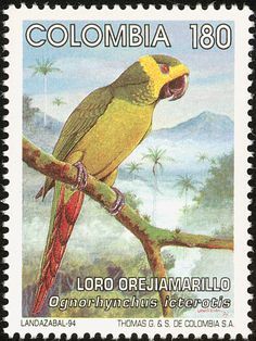 a postage stamp with an image of a yellow and green parrot on a tree branch