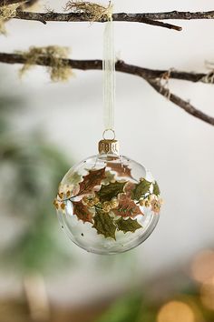 a glass ornament hanging from a tree branch