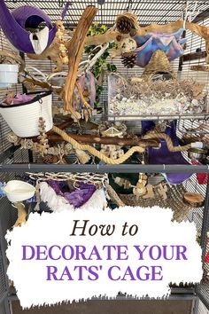 a bird cage filled with lots of birds in it's cages and the words how to decorate your rat's cage