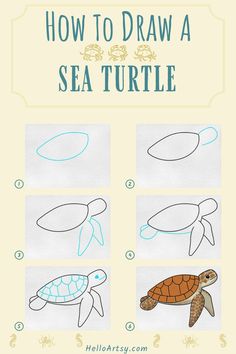 6 drawings demonstrating how to draw a sea turtle drawing easy for kids. Easy Sea Turtle Drawing, Sea Turtle Drawing Easy, Turtle Drawing Easy, Easy Turtle Drawing, Draw A Sea Turtle, Turtle Sketch, Sea Turtle Drawing, Sea Turtle Watercolor, Sea Turtle Painting