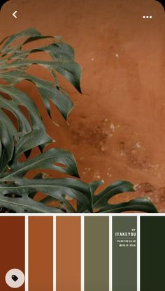 a plant with green leaves in front of an orange wall and color swatches on the bottom