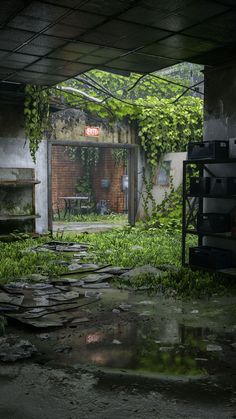 an abandoned building with lots of green plants growing out of it