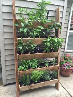 a wooden planter filled with lots of plants