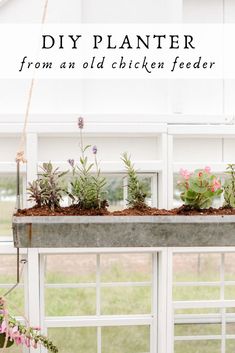 an old window sill is filled with plants and herbs to create a diy planter