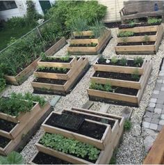 several wooden raised garden beds with plants growing in them