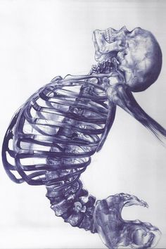 a drawing of a human skeleton is shown in black and white, with the lower half of its body visible