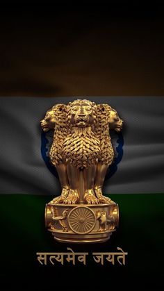 the flag of india with a statue of a lion on it's head in front of a black background