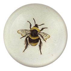 a white plate with a bee painted on it