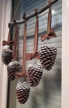 some pine cones are hanging from the side of a house