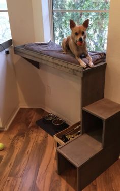 a dog laying on top of a bunk bed