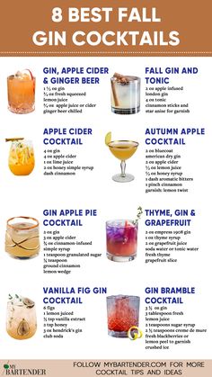 Fall Gin Cocktails Gin Drink Recipes Cocktails, Gin And Ginger Ale, Fall Drinks With Gin, Apple Gin Cocktail, Autumn Gin Cocktail, Apple Cider Gin Cocktail, Gin Cocktails Winter, Fall Gin Drinks, Gin Cocktails Fall