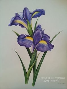 a painting of two purple flowers with green stems