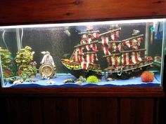 a fish tank with a pirate ship in the middle and other marine life on display