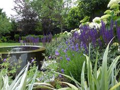 a garden filled with lots of purple and white flowers