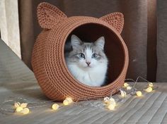 a cat sitting in a knitted kitty bed with lights around it and looking at the camera