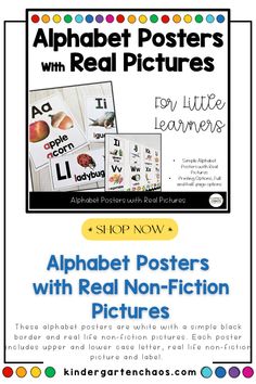 the alphabet posters with pictures for children to use in their homeschool and classroom activities