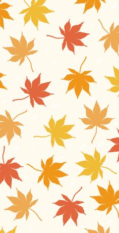 an image of autumn leaves on a white background