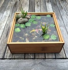 a wooden box filled with water and plants