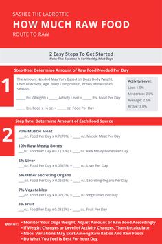 how much raw food should you eat? info sheet for the savory vegan diet