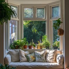 a living room filled with lots of plants next to a large window sill covered in potted plants