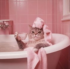 a cat sitting in a bathtub with a pink towel on it's head