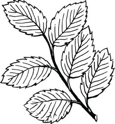 a black and white drawing of leaves