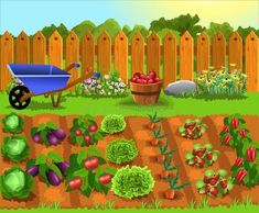 garden scene with wheelbarrow full of vegetables royalty illustration