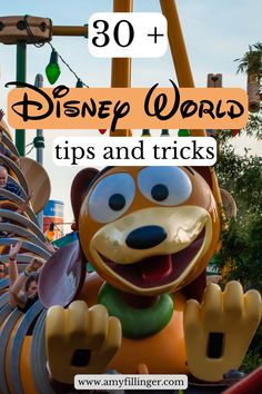 an amusement park with the words disney world tips and tricks