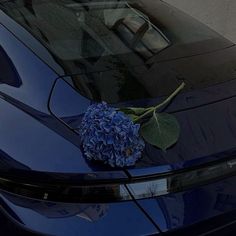 a blue car with a flower on the hood