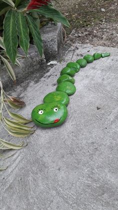 a very cute looking toy made to look like a caterpillar on the ground