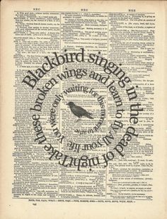 an old book with the words blackbird singin'in it and a bird on top