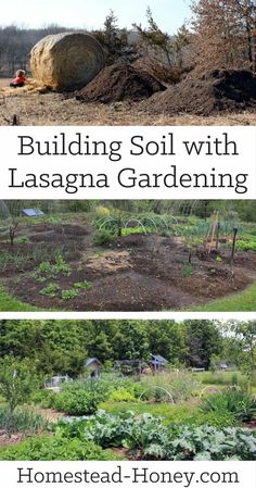 the garden is full of plants and dirt, with text overlay that reads building soil with lasagna gardening