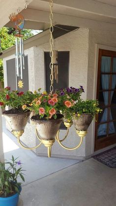 three potted plants hanging from a chandelier in front of a door way