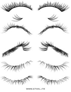 an image of eyelashes with long, thick lashes on top and bottom half of each eye