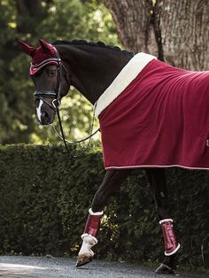 a horse wearing a blanket walking down the street