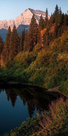 a lake surrounded by trees with mountains in the background