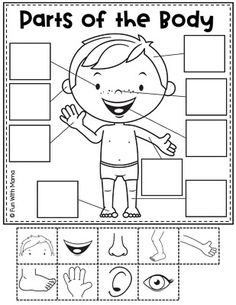 parts of the body worksheet for kids with pictures and words to color on