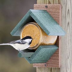 a bird is eating out of a jar that is on a wooden post with the word duncrat free shipping above it