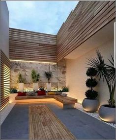 an outdoor living area with plants and lights